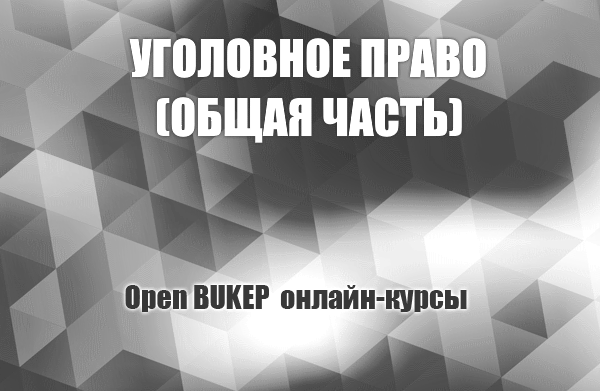 Уголовное право (общая часть) 107