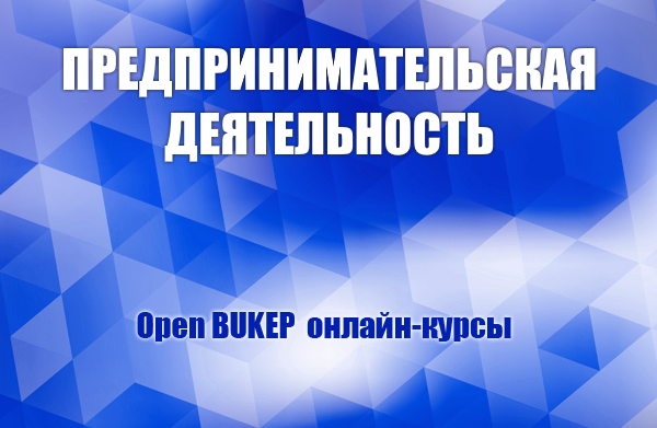 Предпринимательская деятельность 111