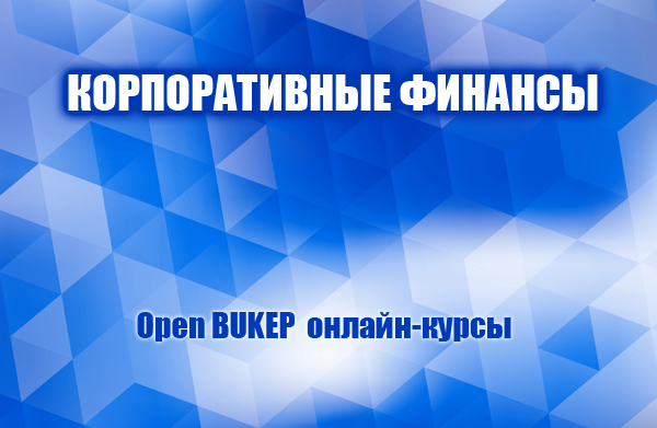 Корпоративные финансы 13