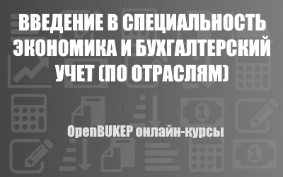 Введение в специальность «Экономика и бухгалтерский учет (по отраслям)» 133