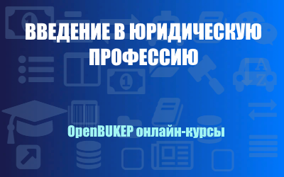 Введение в юридическую профессию 142