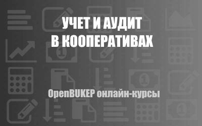 Учет и аудит в кооперативах 161
