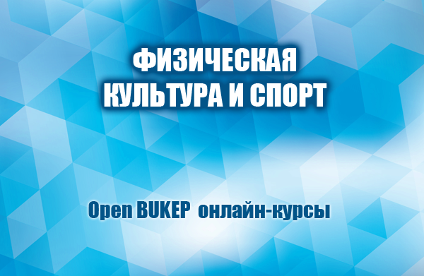 Физическая культура и спорт 17