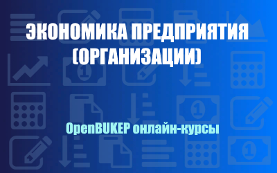 Экономика предприятия (организации) 19