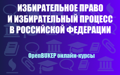 Избирательное право и избирательный процесс в Российской Федерации 24