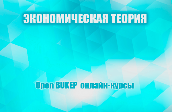 Экономическая теория 28