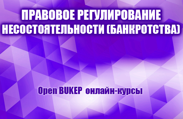 Правовое регулирование несостоятельности (банкротства) 31