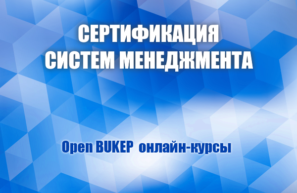 Сертификация систем менеджмента 65