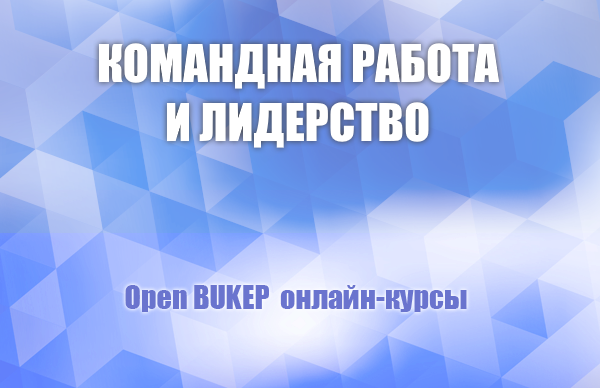 Командная работа и лидерство 67