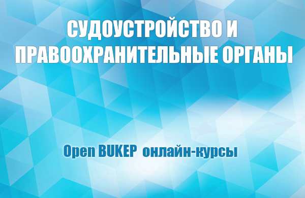 Судоустройство и правоохранительные органы 73
