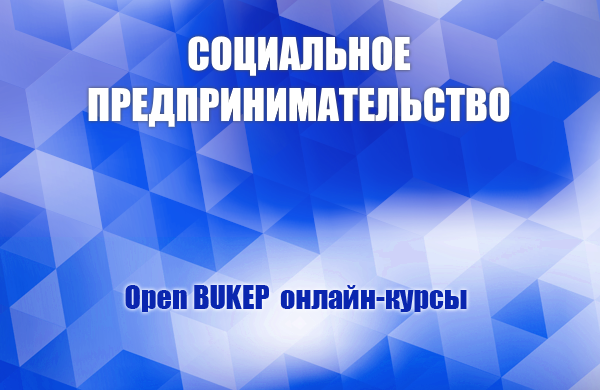 Социальное предпринимательство 82