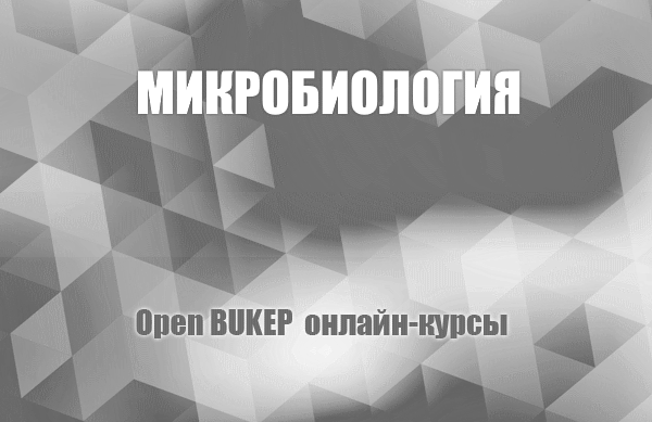 Микробиология 86