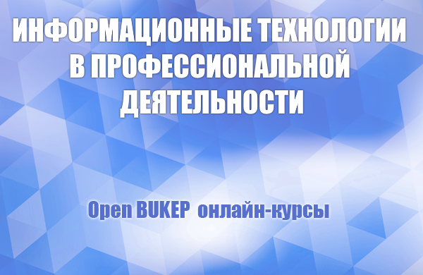 Информационные технологии в профессиональной деятельности 95
